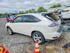 2006 LEXUS Rx 330