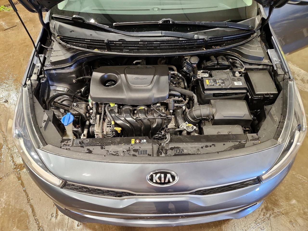 2019 KIA RIO