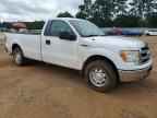 2013 FORD F-150 Lightning