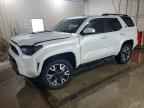 2025 TOYOTA 4Runner