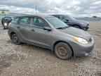 2008 TOYOTA COROLLA