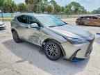 2025 LEXUS NX 350