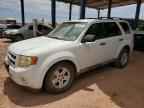 2009 FORD Escape Hybrid