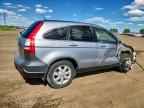 2008 HONDA CR-V
