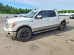 2010 FORD F-150 Lightning