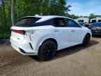 2023 LEXUS RX 500H