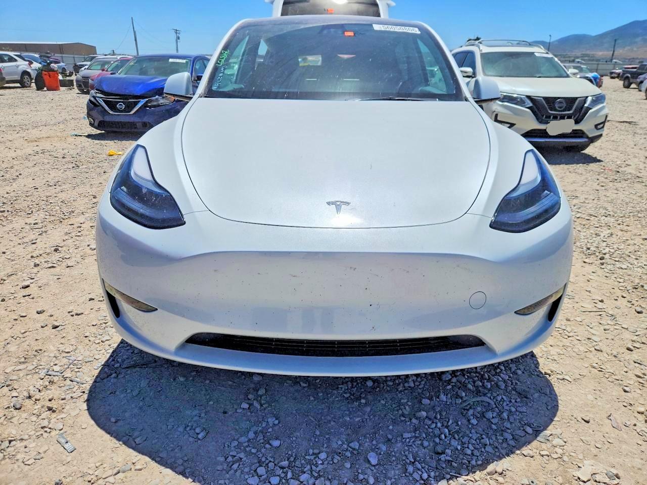 2025 TESLA MODEL Y