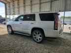 2019 CADILLAC ESCALADE