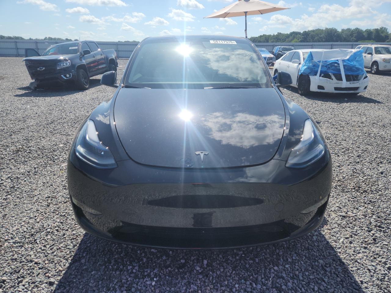 2024 TESLA MODEL Y