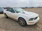 2006 FORD MUSTANG