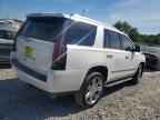 2019 CADILLAC ESCALADE