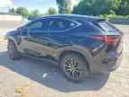 2023 LEXUS NX 350H