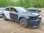 2024 LEXUS RX 350H