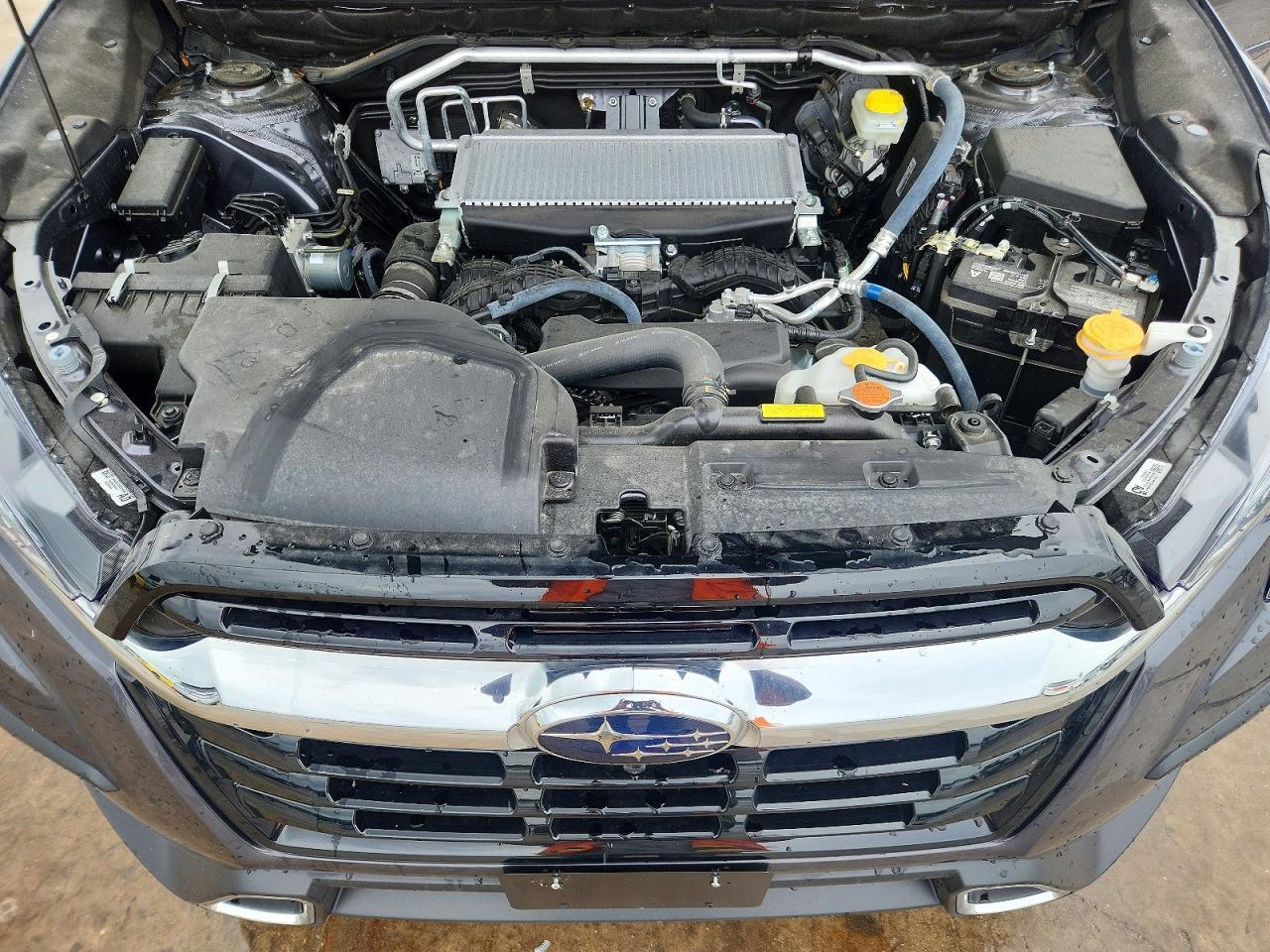 2025 SUBARU Ascent