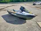 2020 Sdea Boat