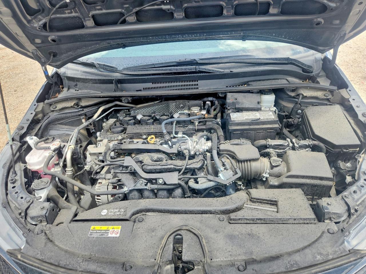 2025 TOYOTA COROLLA
