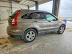 2010 HONDA CR-V