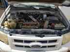 2009 FORD Escape Hybrid
