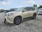 2014 LEXUS GX 460