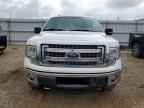 2013 FORD F-150 Lightning