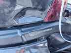 2023 BMW S 1000