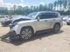 2023 LEXUS LX 600