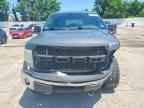2010 FORD F-150 Lightning
