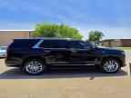 2023 CADILLAC ESCALADE