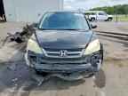2010 HONDA CR-V