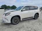 2019 LEXUS GX 460