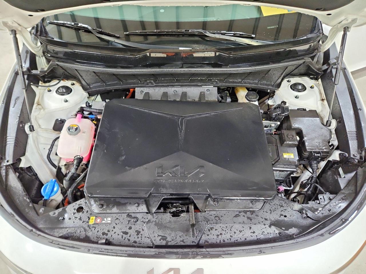 2024 KIA Niro