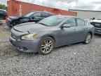 2014 NISSAN Maxima