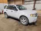2010 FORD ESCAPE