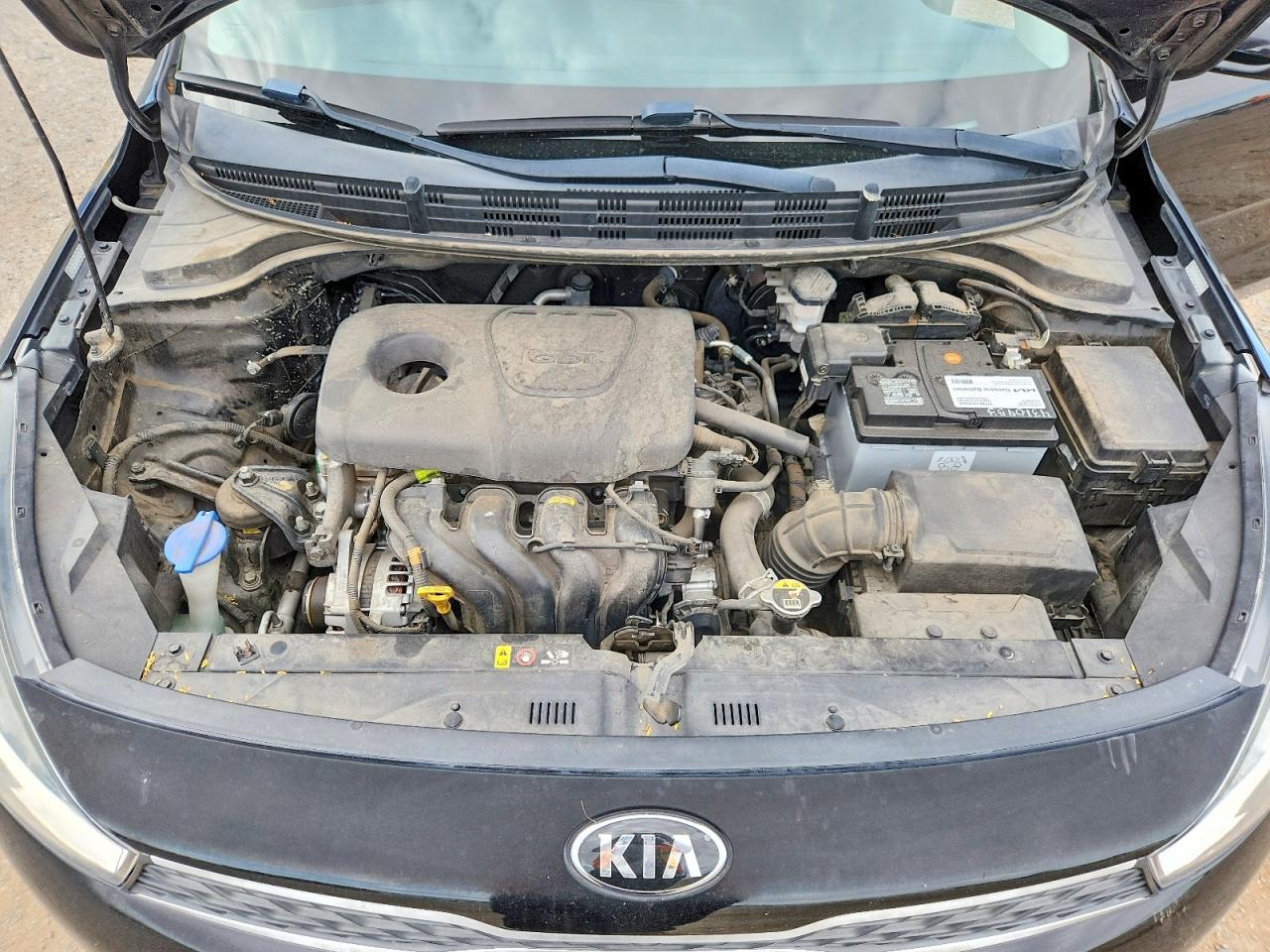 2019 KIA RIO