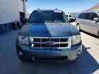 2010 FORD ESCAPE