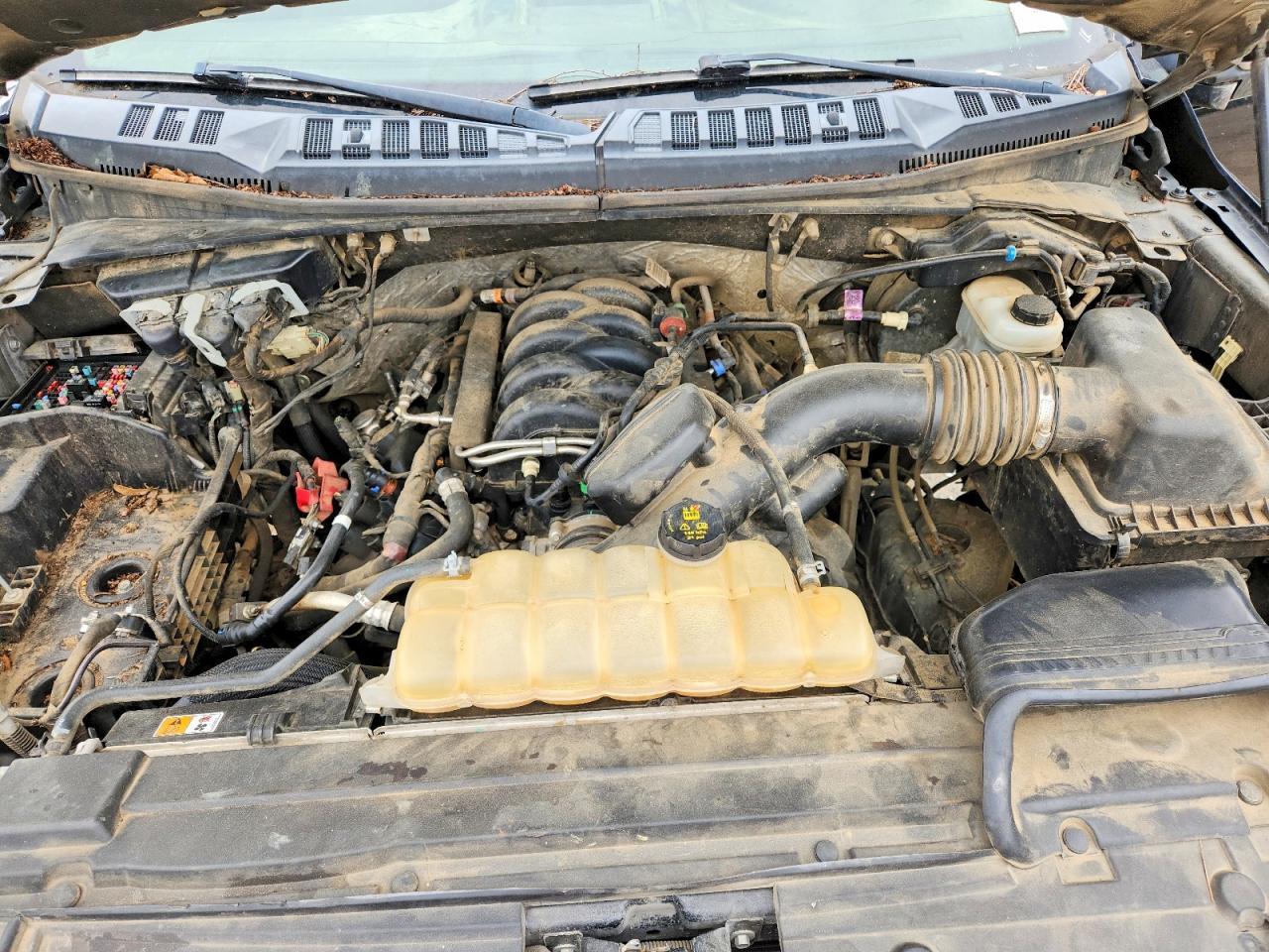 2019 FORD F-150 Lightning