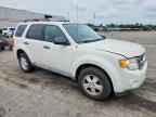 2009 FORD ESCAPE