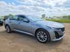 2024 CADILLAC CT5