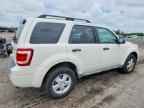 2009 FORD ESCAPE