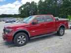 2013 FORD F-150 Lightning