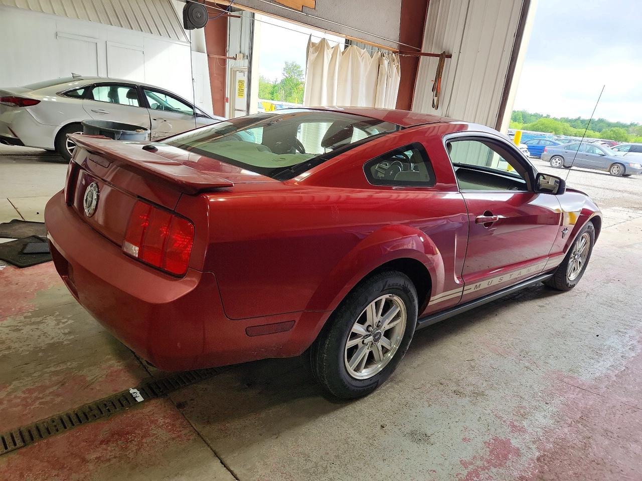 2009 FORD MUSTANG