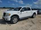 2010 FORD F-150 Lightning