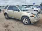 2010 FORD ESCAPE