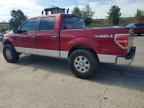 2013 FORD F-150 Lightning