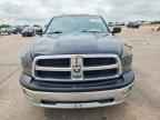 2009 DODGE RAM 1500