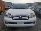 2011 LEXUS GX 460
