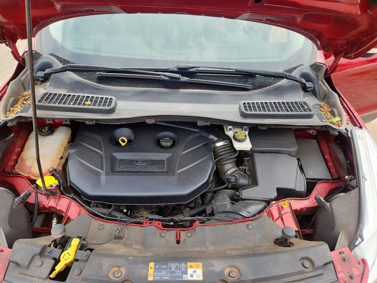 2014 FORD ESCAPE
