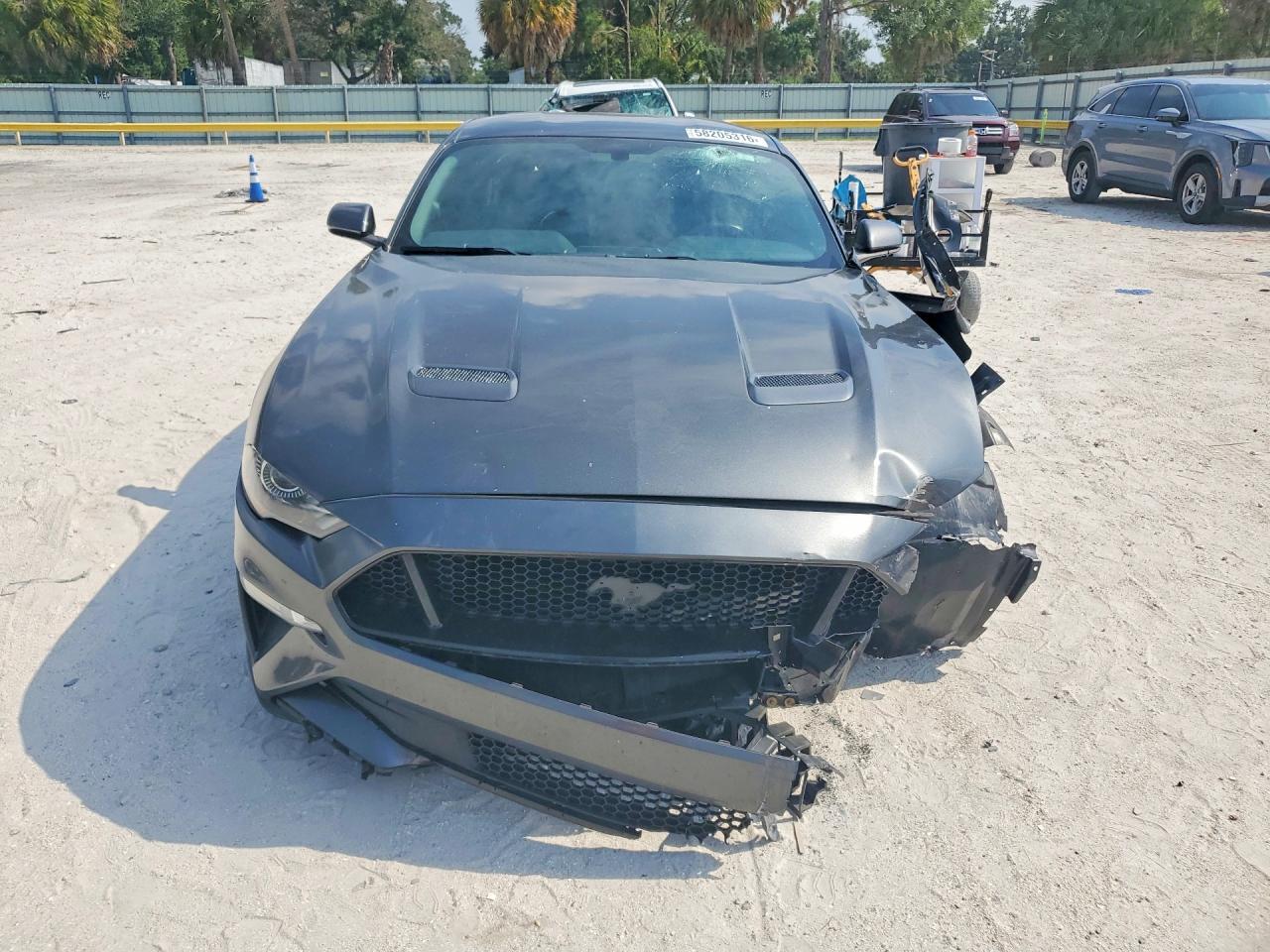 2019 FORD MUSTANG