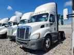 2018 FREIGHTLINER Cascadia 113