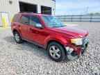 2009 FORD ESCAPE
